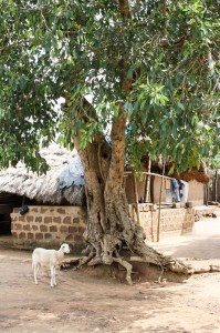 Gapé-Hihlagbé-village-2